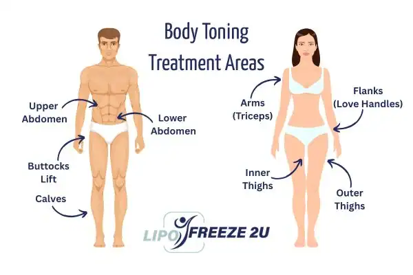Graphic showing where you can have Body toning Treatment Colchester on your body